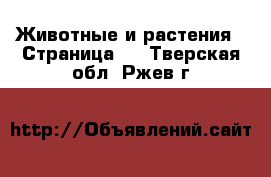  Животные и растения - Страница 6 . Тверская обл.,Ржев г.